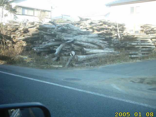 dead-wood-totoro.jpg